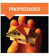 imagen1